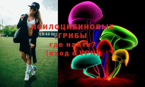 дживик Елабуга