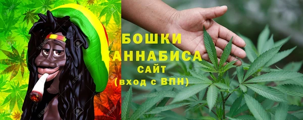 дживик Елабуга