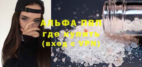 дживик Елабуга